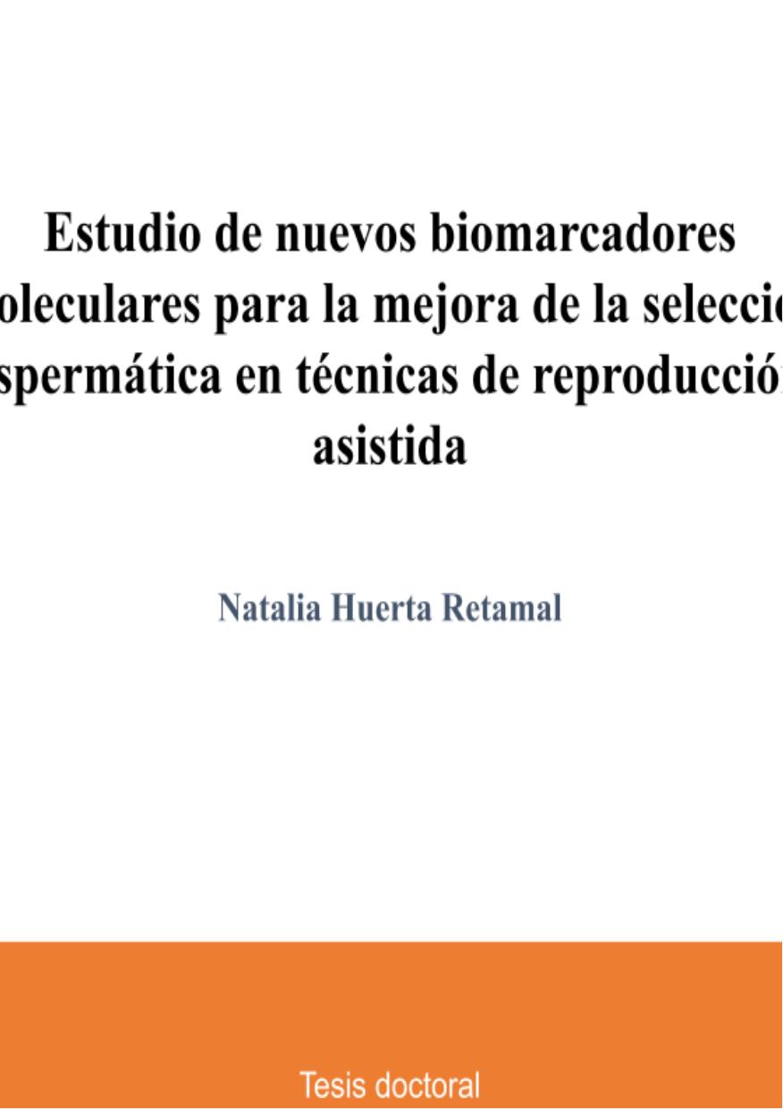 Tesis por fases.docx