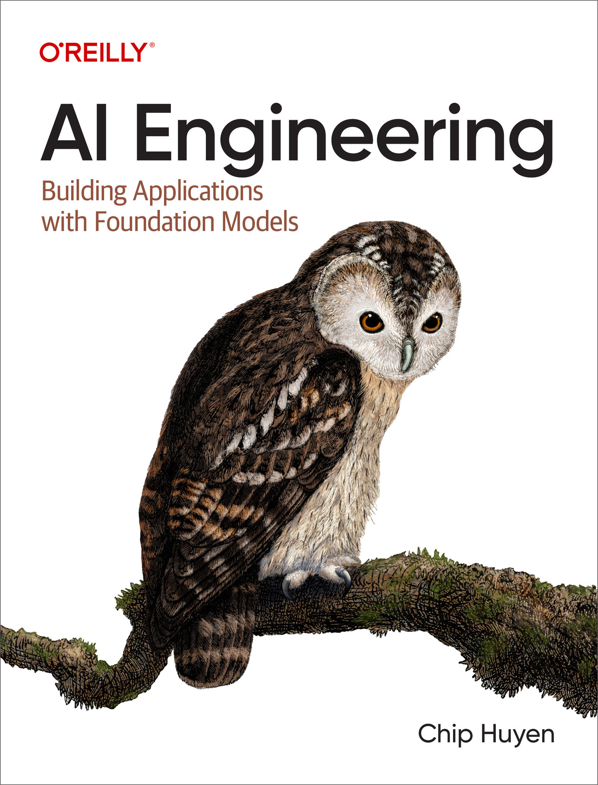 AI Engineering (for . .)